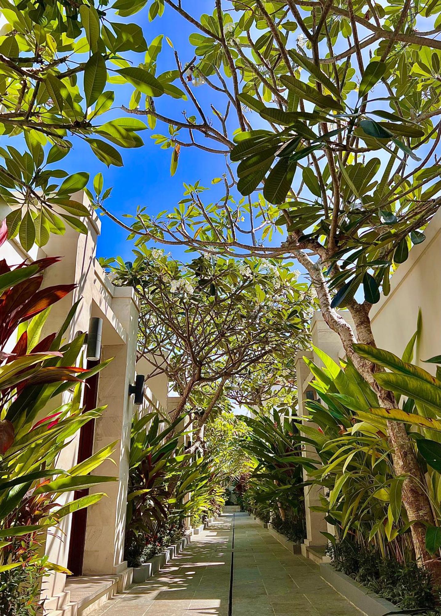 D'Avera Villa Canggu Dış mekan fotoğraf